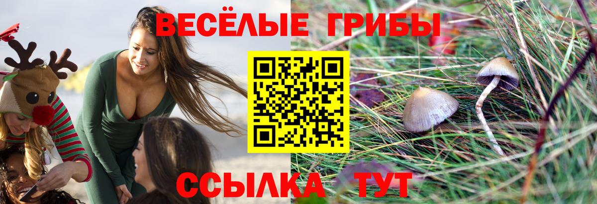 Галлюциногенные грибы Magic Shrooms Ульяновск