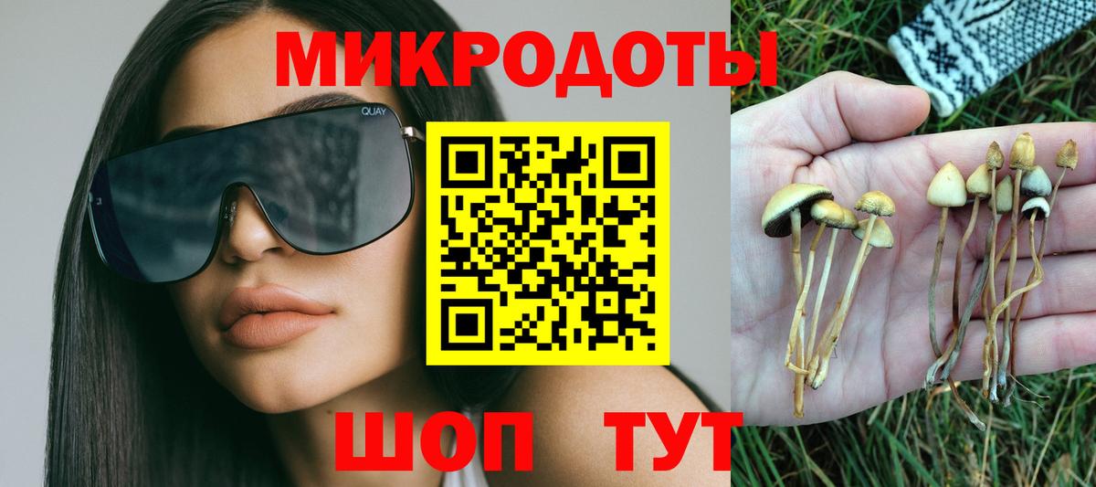 Псилоцибиновые грибы MAGIC MUSHROOMS  Вход с VPN  Ульяновск 