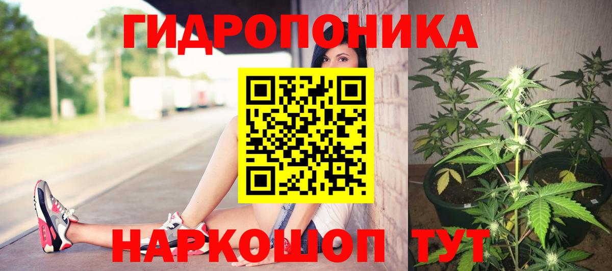 Шишки марихуана конопля Ульяновск